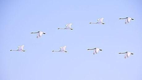 《小小梦魇1+2》Steam新史低 1代完全版仅售18.88元